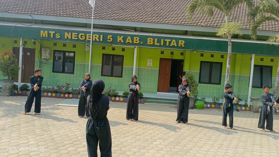 Pencak Silat